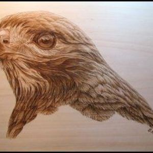 wood pyrography eagle